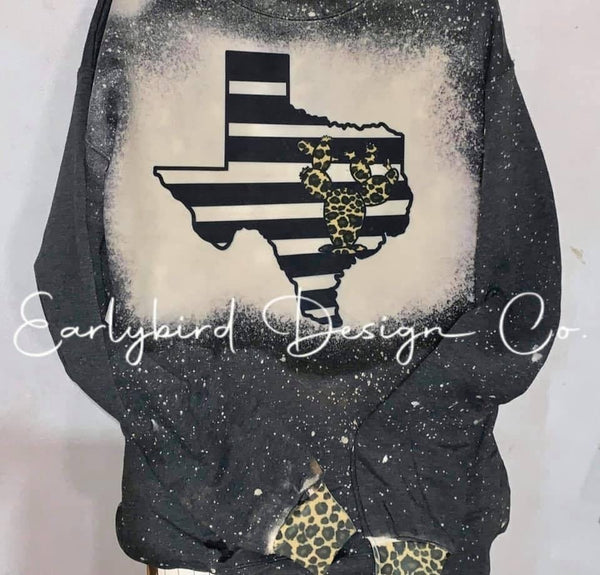 Texas Cactus PNG File