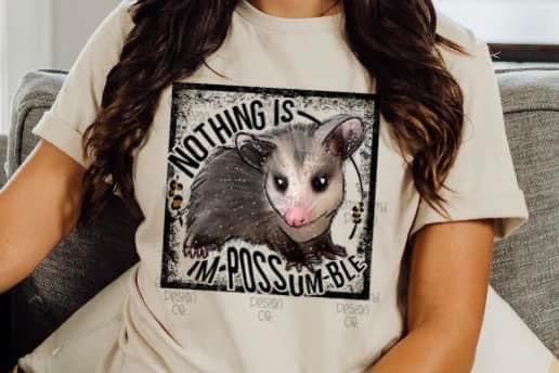 Nothing is Impossumble png