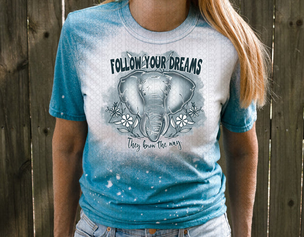 Follow your dreams elephant PNG