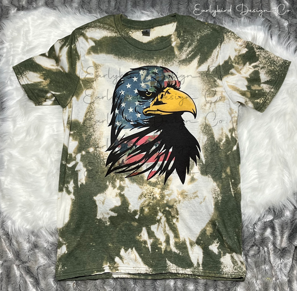 American Eagle  PNG